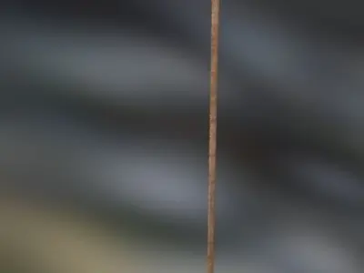 arrow bow quiver Low-poly 3D model