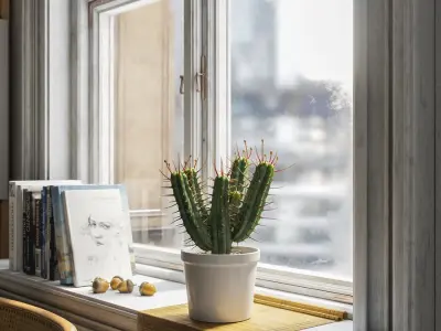  Euphorbia Cactus Potted Plant Model 