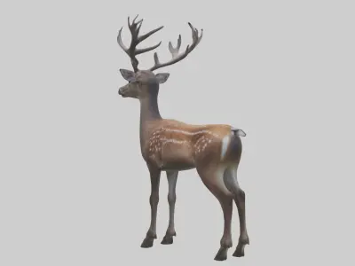 Sika deer Low-poly 3D model