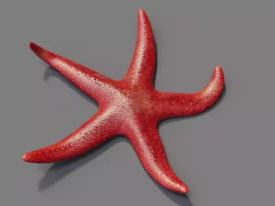 Red Starfish Low-poly 3D model