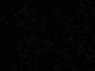 Cute White Cartoon Kitten 3D Model Low-poly 3D model