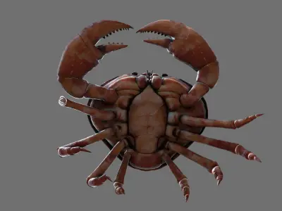 Crab animated walkcycle Low-poly 3D model