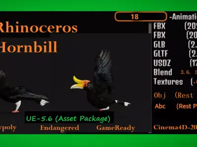 Rhinoceros Hornbill Bird Low-poly 3D model