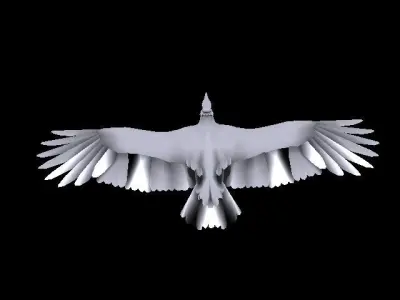 Turkey Vulture Free low-poly 3D model