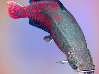 Fish Arapaima Gigas Low-poly 3D model