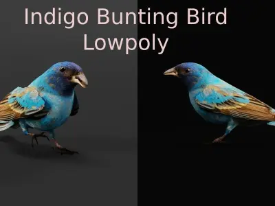 Indigo Bunting Bird 3D model