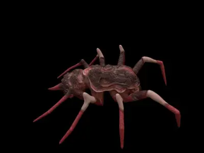 red spider columbias Low-poly 3D model