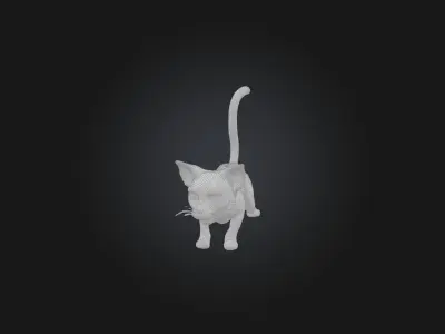 Realistic Hurt Cat Model Low-poly 3D model