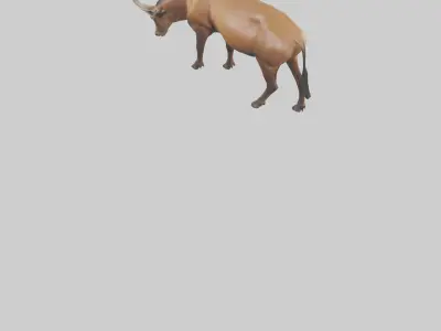 Hartebeest grazing model Low-poly 3D model