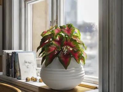  Caladium Potted Plant Model, Red 