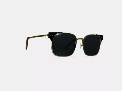 Ramona Sunglasses in Jet Black with Polished Gold 3D model