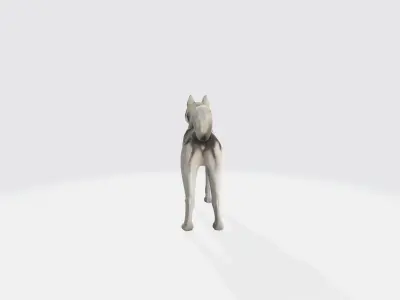 Siberian Husky Dog Model Animated and Rigged 3D model