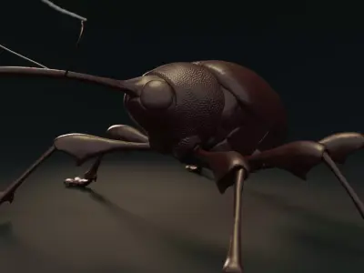 Chestnut Weevil or Curculio Elephas Low-poly 3D model