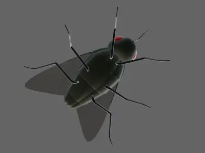 Mosquito - Fly Low-poly 3D model