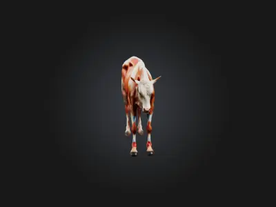 Realistic Injured Calf Model Low-poly 3D model
