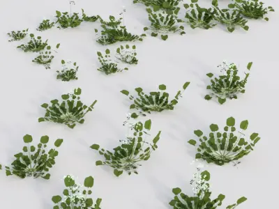Tiny Plants Bittercress  Low-poly 3D model