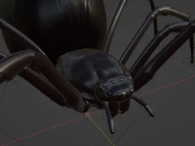Black Widow Spider Rigged Free 3D model
