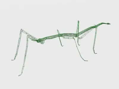 Stick insect Low-poly 3D model