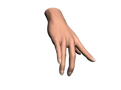 Female hand 001 3D model