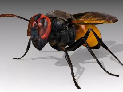 Hornet wasp Low-poly 3D model