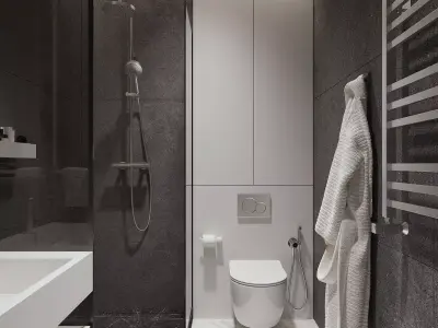 Bathroom design minimalism style Free 3D model