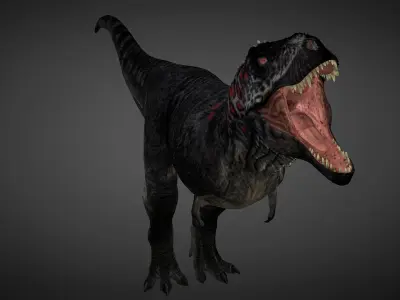 T rex animated 3d model Low-poly 3D model