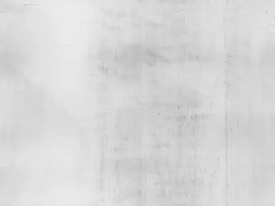 Frozen Qin Shi Huang 3D model