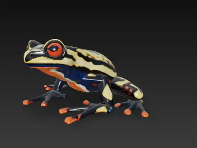 Frog Poisonous Realistic 3D Model Basic - Low Poly Realistic Low-poly 3D model