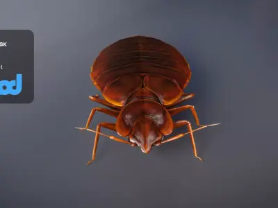 Mites 3D model