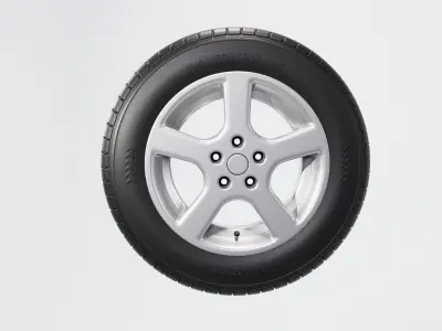 Tire all-season 205 R17 95T 3D model