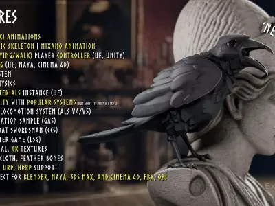 Raven - Flying System - Bird Behavior - 75 Low-poly 3D model