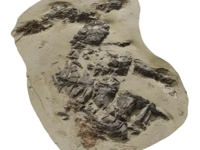  Medium Scattered Beach Rock Model 