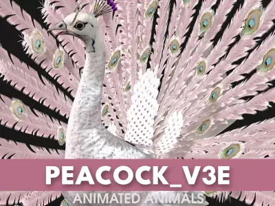 Peacock V3E Free 3D model