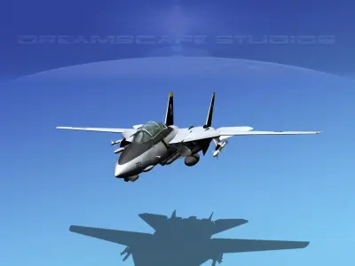 Grumman F-14D Tomcat T08a VF-84 3D model