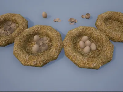Birdnests and Eggs hatched and remains Low-poly 3D model