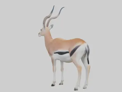 Spakes gazelle Low-poly 3D model