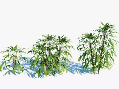 Chuniophoenix humilis a 3D model