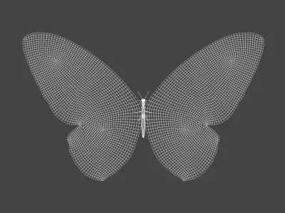 BFLY-004 Butterfly 3D model