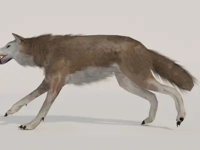 Brown Wolf Animated game ready with fur Low-poly 3D model