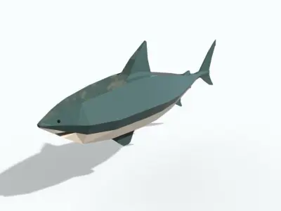Low Poly Shark Free 3D model