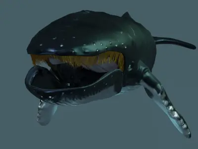 Humpback Whale rigged animated 3D model