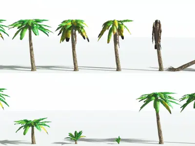EVERYPlant Bjuvia Cycad 4 --12 Models-- 3D model