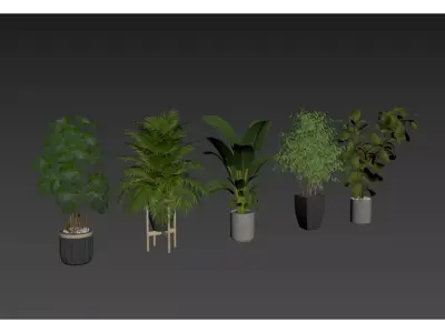 potted plant combination 3D model