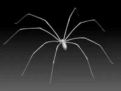 Daddy Long Legs Low-poly 3D model