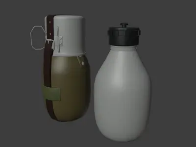 WWII Romanian Canteen 3D model