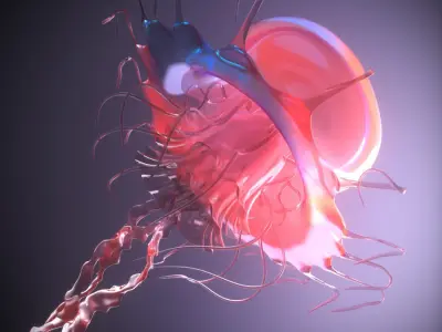 Jellyfish rigged animated 3D model