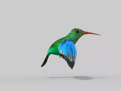 Humming Bird Two 3D model