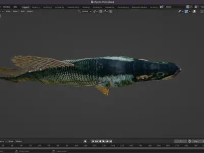 Perch Fish Low-poly 3D model