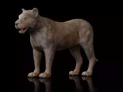 animal lion Low-poly 3D model