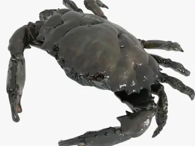 Crab PBR Low-poly 3D model